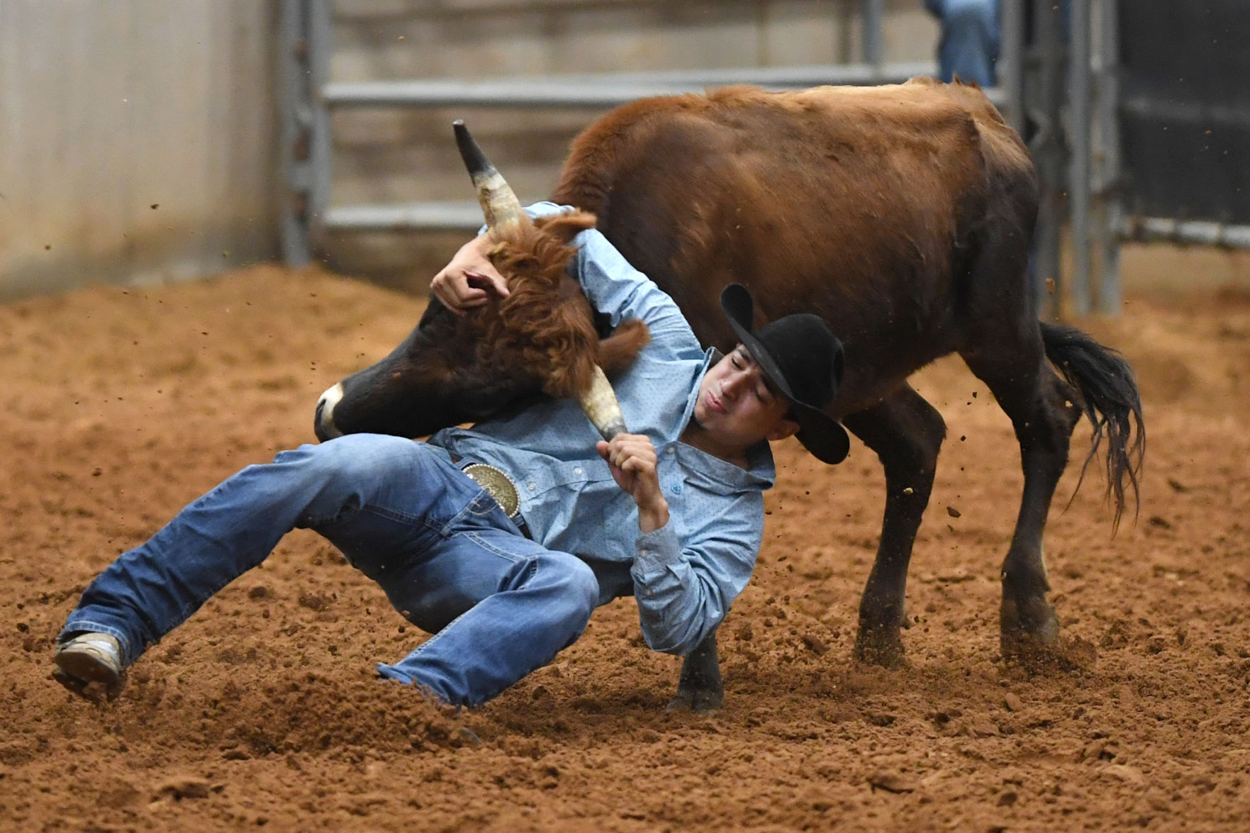 Brazos Valley Fair and Rodeo